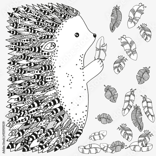 Artistically ornamental prickly hedgehog and feathers. Hand-drawn, ethnic, floral, retro, doodle, vector, zentangle, tribal design elements. Pattern for coloring book