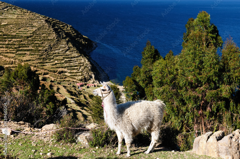 Naklejka premium South America, Titicaca lake landscape