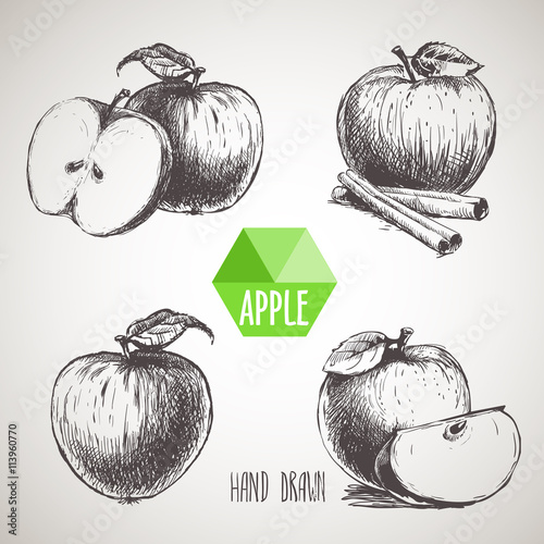 Set of hand drawn apple.  Organic eco food.Vector picture set