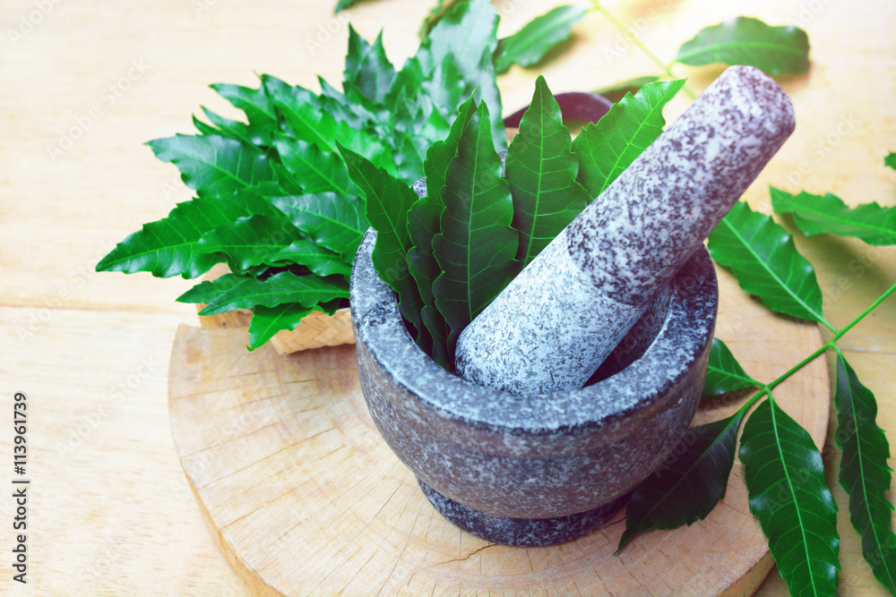 medicinal neem leaves in mortar and pestle with neem leaves in bamboo box on wooden background. herb in Thailand.