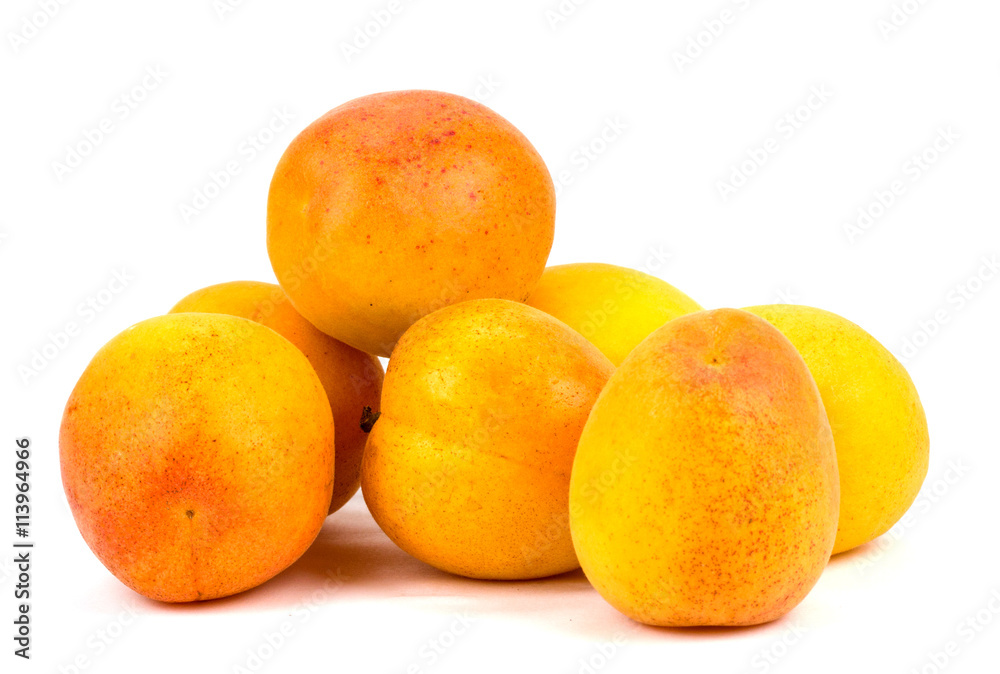 Apricots on a white background Apricots on a white background