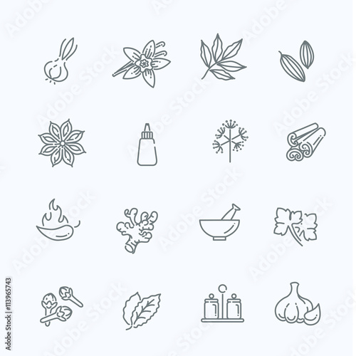 Web icon set - spices, condiments and herbs