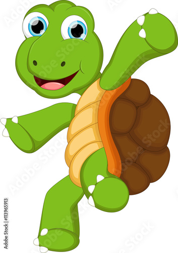 turtle cartoon for you design