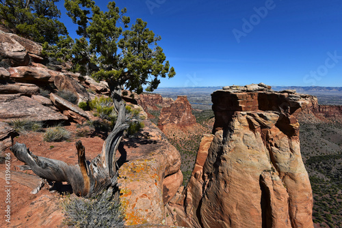 Colorado National Monument - Monument Canyon photo