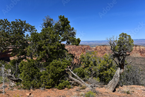 Colorado National Monument - Monument Canyon photo