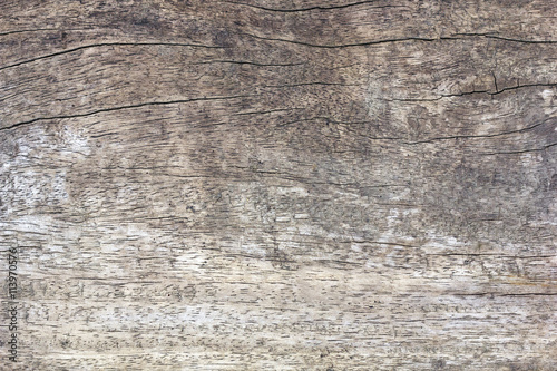 wood texture with natural pattern 