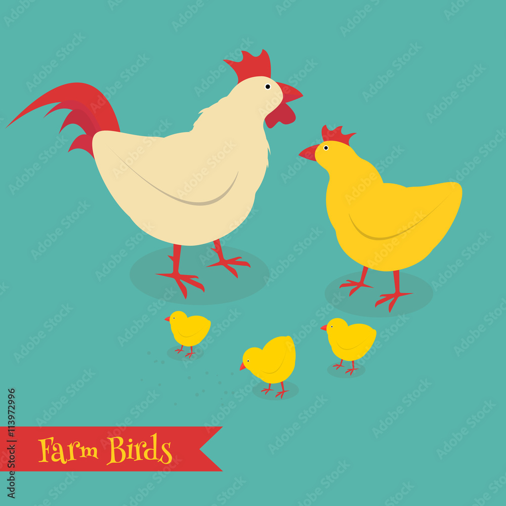 Chicken mother and chuk kid vector illustration. Cartoon chicken bird isolated on background. Chicken mother and chuk kid vector illustration. Cartoon chicken bird isolated on background.