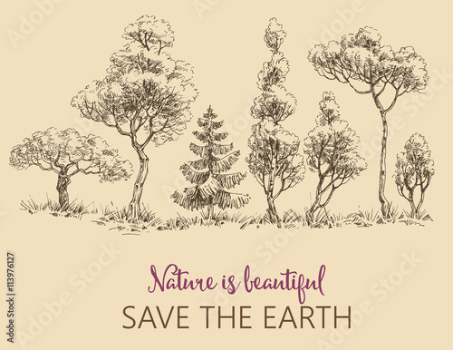 Line of trees, Save the Earth card