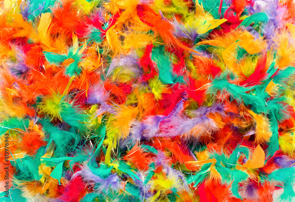 Background texture of colorful feathers