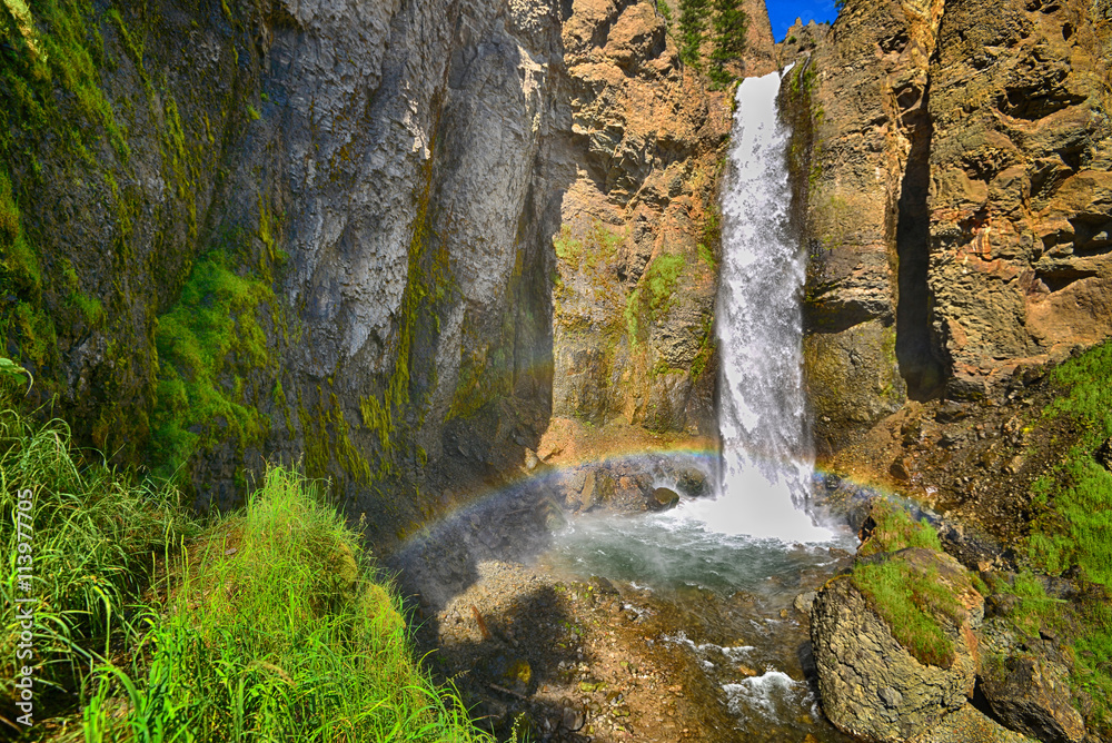 Fototapeta premium Tower Falls in Yellowstone National Park, Wyoming