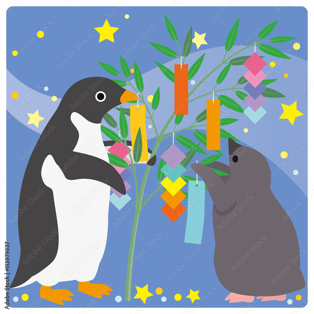 Obraz premium アデリーペンギン 七夕