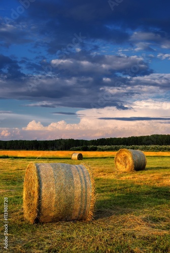 Hay Bale Farm / Hay bales on the field after harvest, Hungary