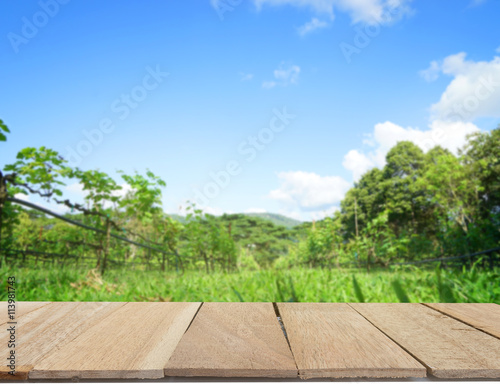 wood table top on blur backgroun of green grass and blue sky