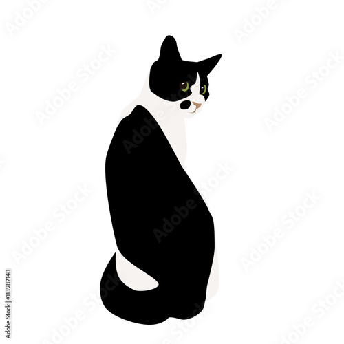 Sticker Black and white cat.