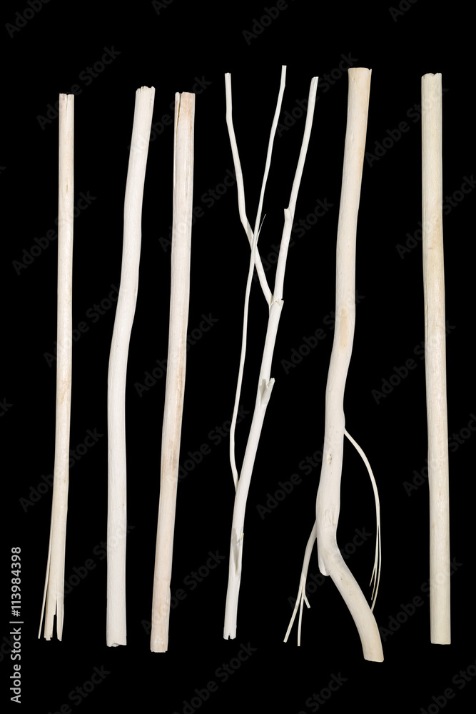 branch