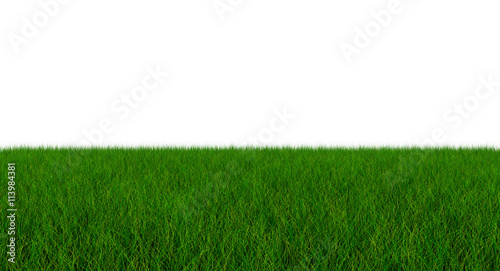 Fresh Green Blade of Grass - Isolated On White Background - 3D I