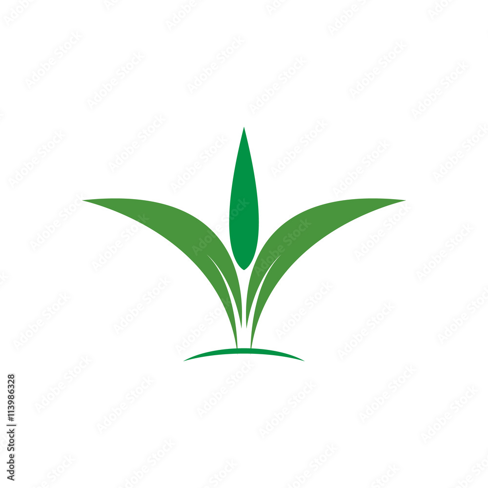 Fototapeta premium Green Nature Agriculture Loge Designs Vector