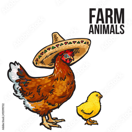 ginger chicken with chick and sombreros, vector sketch hand-drawn illustration isolated on a white background, poultry farm with chicken, chicken family Mother and child, Mexican food design, sombrero