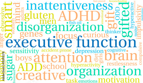 Executive Function Word Cloud