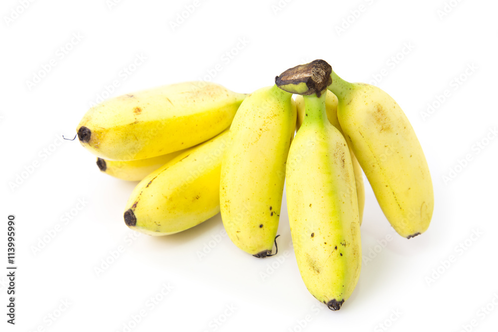 banana banana