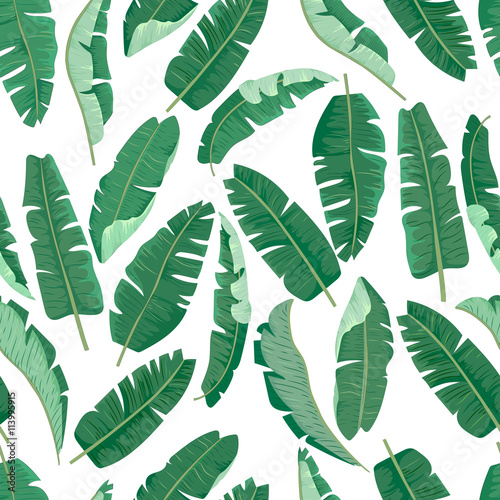 Banana leaves seamless pattern.