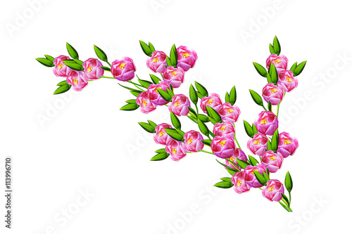 Wallpaper Mural spring flowers tulips isolated on white background. Torontodigital.ca