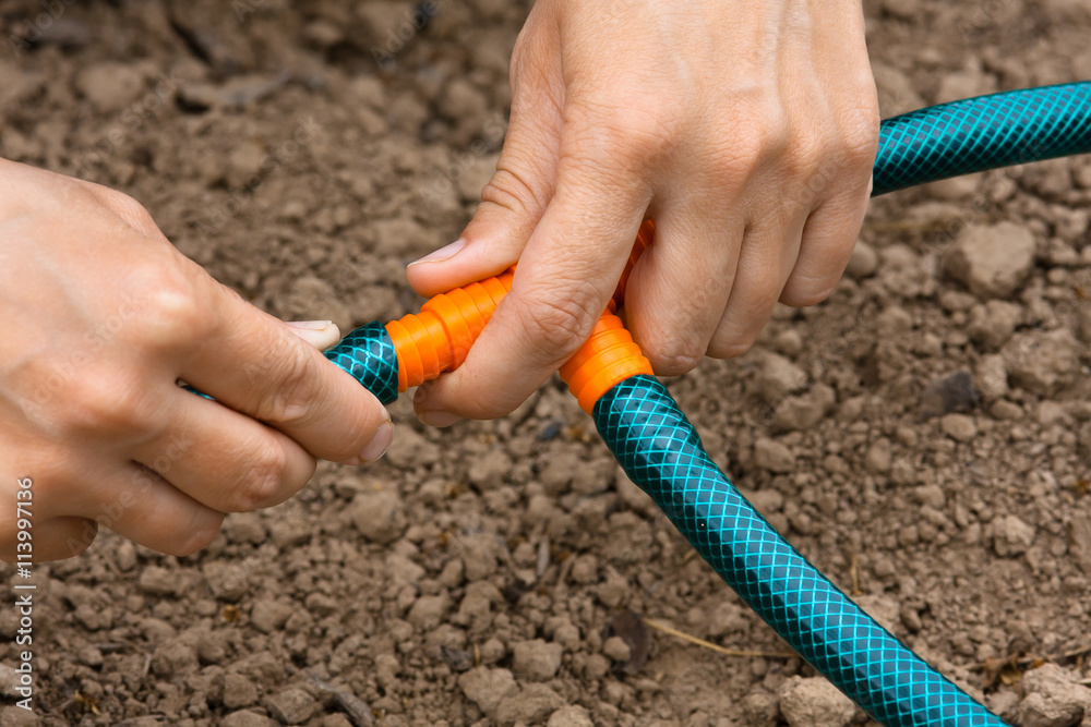 Fototapeta hands connecting garden hoses for irrigation, closeup