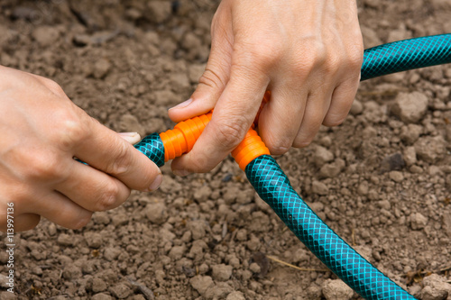 hands connecting garden hoses for irrigation, closeup