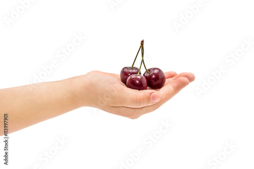 Children's hand holding a cherry isolated on white