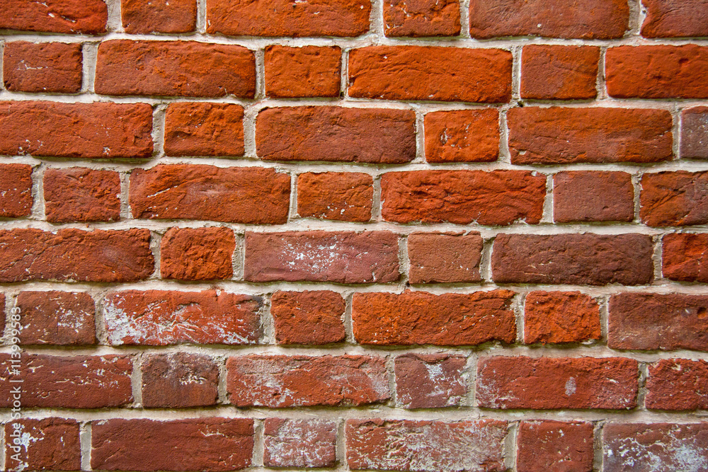 Obraz premium brick