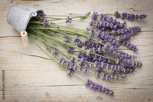 Fototapeta Naklejka Na Ścianę i Meble -  Fresh lavender flowers