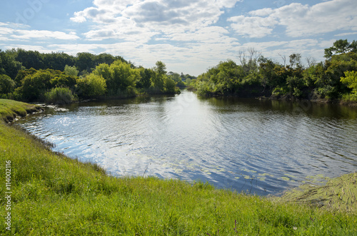 Sunny summer landscape with river