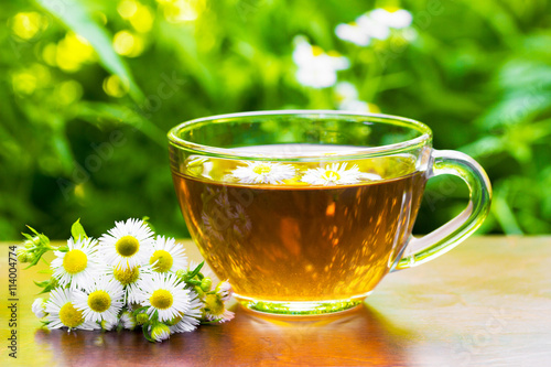 glass cup of tea with camomile flowers and camomile on the natural green vegetation background closeup