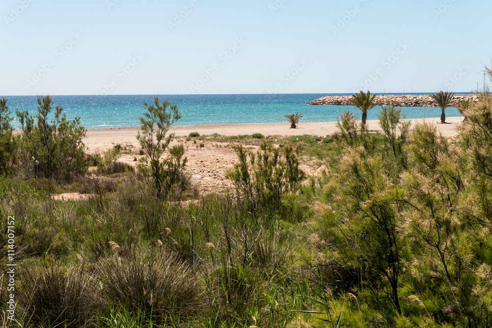 Strand am Punta del Riu - Blick über die Dünen zum Meer Strand am Punta del Riu - Blick über die Dünen zum Meer