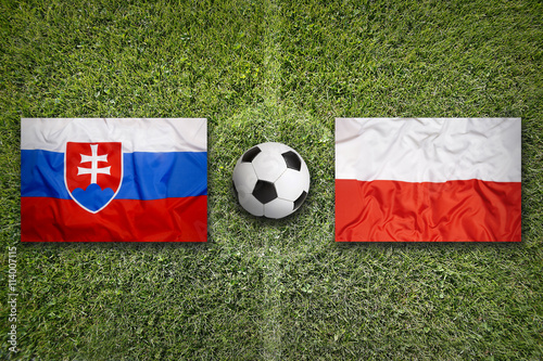 Slovakia vs. Poland flags on soccer field