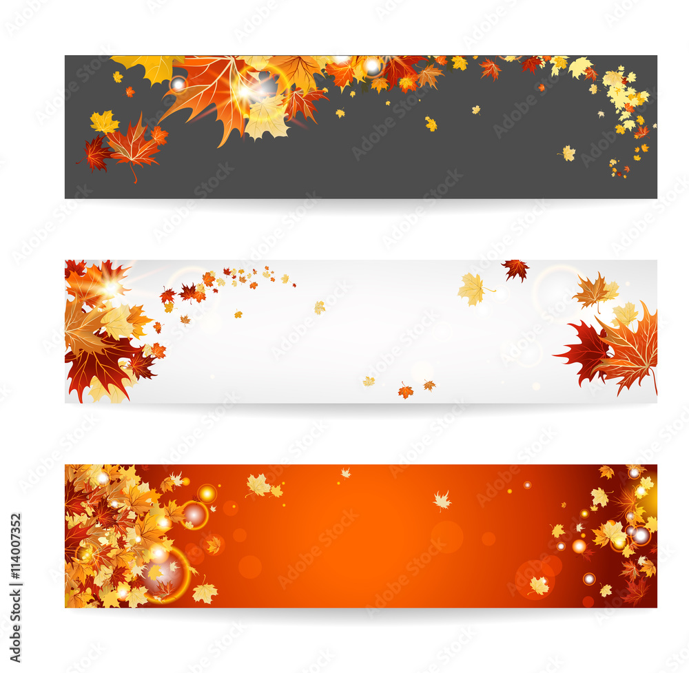 Set of banners with maple leaves