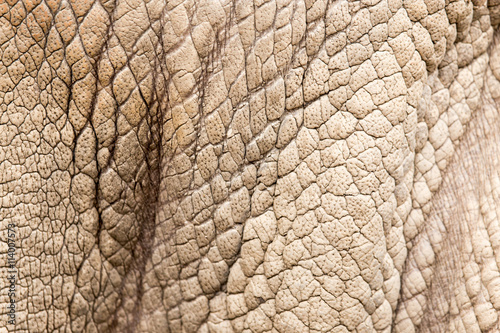 rhino skin as background