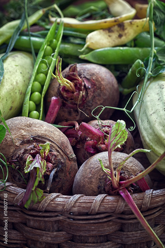 Basket with organic vegetables fresh from garden