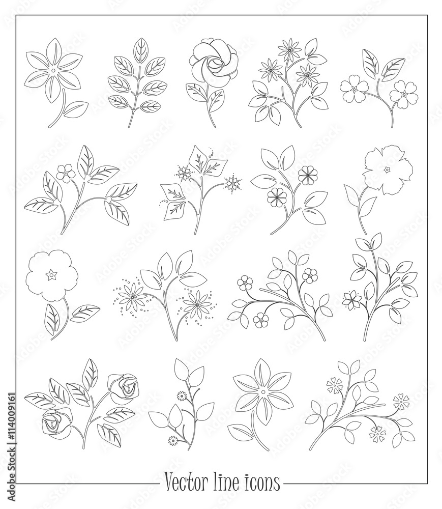 Obraz Flat line flowers and plants isolated on white background
