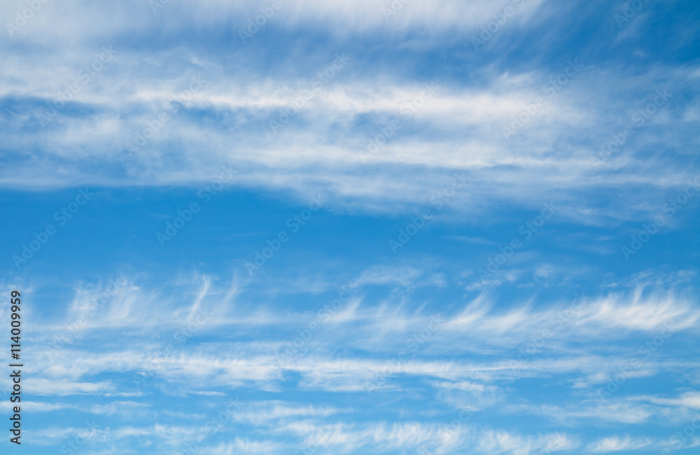 Striped white clouds and blue sky. Cloudscape over horizon.