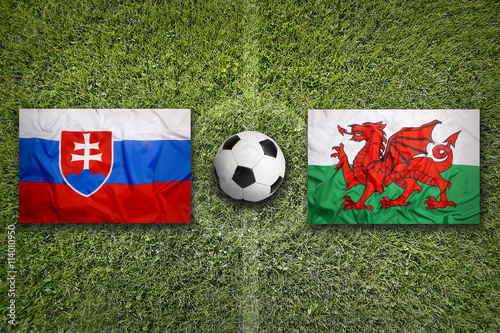 Slovakia vs. Wales flags on soccer field