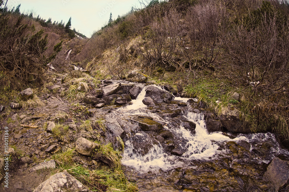 Mountain stream flowing into a stony brook