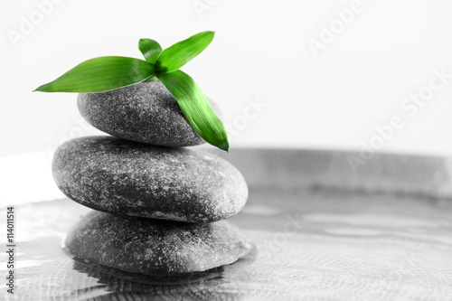 Photography Gray spa stones in water on light background