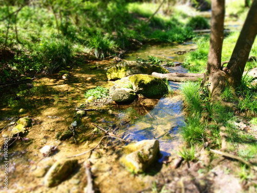 DIORAMA DE RIU Foto con efecto diorama de riachuelo de aguas tranquilas, colores verdes, naturaleza