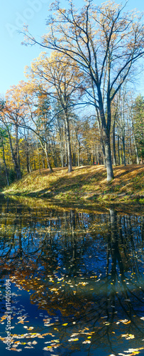Pond in autumn park.