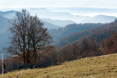 Autumn misty mountain landscape.