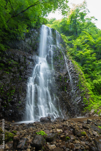 滝と新緑（愛媛県白猪の滝）