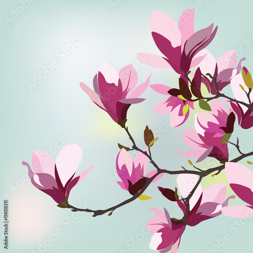 Vintage Watercolor Background with Blooming Magnolias Flowers. Flower blossom tree branch on mint color. Vintage background for textile, texture, wallpaper, invitation, greeting cards, wedding etc