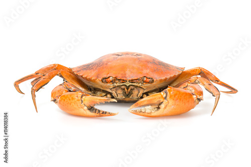 Steamed crab