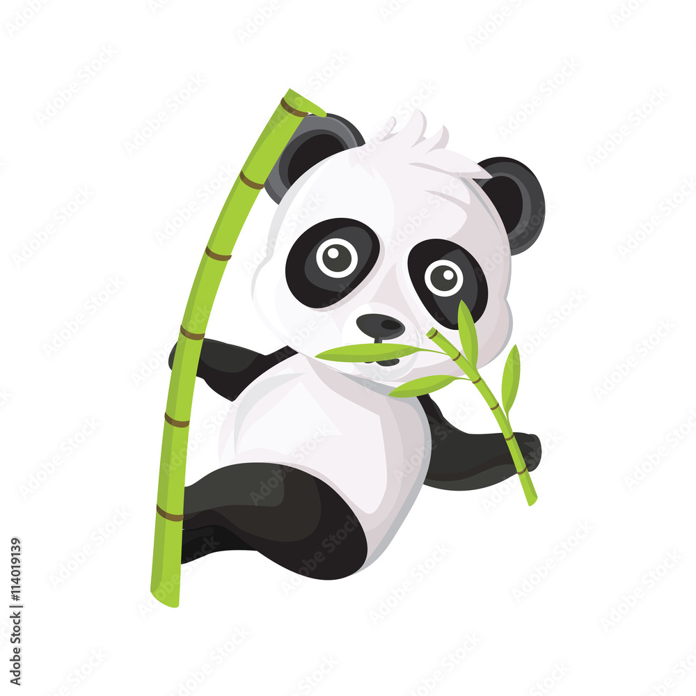 Fototapeta premium Panda Vector